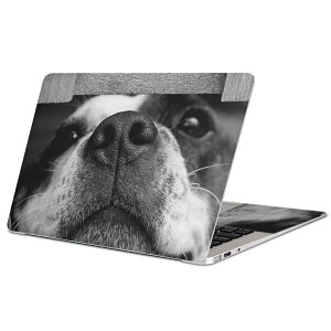 MacBook p XLV[ }bNubN 13C` ` 16C` MacBook Pro / MacBook Air eΉ m[gp\R Jo[ P[X tB XebJ[ ANZT[ ی 023216 @ʐ^@mN