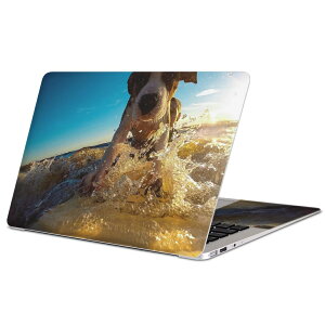MacBook p XLV[ }bNubN 13C` ` 16C` MacBook Pro / MacBook Air eΉ m[gp\R Jo[ P[X tB XebJ[ ANZT[ ی 023217 @T[tB@C@
