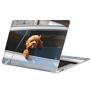 MacBook p XLV[ }bNubN 13C` ` 16C` MacBook Pro / MacBook Air eΉ m[gp\R Jo[ P[X tB XebJ[ ANZT[ ی 023221 @ԁ@ʐ^