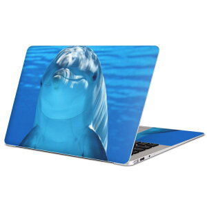 MacBook p XLV[ }bNubN 13C` ` 16C` MacBook Pro / MacBook Air eΉ m[gp\R Jo[ P[X tB XebJ[ ANZT[ ی 023228 CJ@@ʐ^