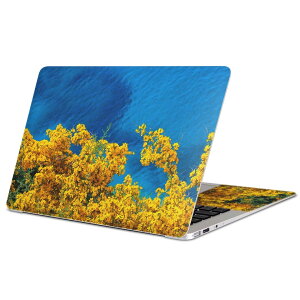 MacBook �p �X�L���V�[�� �}�b�N�u�b�N 13�C���` �` 16�C���` MacBook Pro / MacBook Air �e��Ή� �m�[�g�p�\�R�� �J�o�[ �P�[�X �t�B���� �X�e�b�J�[ �A�N�Z�T���[ �ی� 023354 �ԁ@�t�����[�@�C