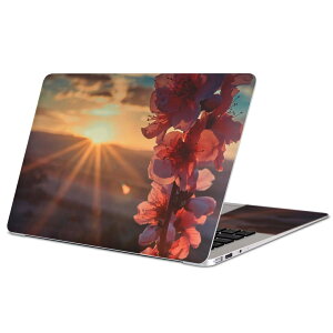 MacBook �p �X�L���V�[�� �}�b�N�u�b�N 13�C���` �` 16�C���` MacBook Pro / MacBook Air �e��Ή� �m�[�g�p�\�R�� �J�o�[ �P�[�X �t�B���� �X�e�b�J�[ �A�N�Z�T���[ �ی� 023363 �ԁ@�t�����[�@�i�F�@��