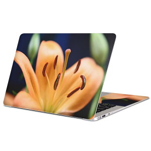 MacBook p XLV[ }bNubN 13C` ` 16C` MacBook Pro / MacBook Air eΉ m[gp\R Jo[ P[X tB XebJ[ ANZT[ ی 023523 ԁ@t[@ʐ^