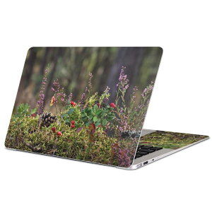 MacBook 用 スキンシール マックブック 13インチ 〜 16インチ MacBook Pro / MacBook Air 各種対応 ノートパソコン カバー ケース フィルム ステッカー アクセサリー 保護 023583 秋 植物 草