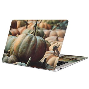 MacBook �p �X�L���V�[�� �}�b�N�u�b�N 13�C���` �` 16�C���` MacBook Pro / MacBook Air �e��Ή� �m�[�g�p�\�R�� �J�o�[ �P�[�X �t�B���� �X�e�b�J�[ �A�N�Z�T���[ �ی� 023702 ���ڂ���@�n���E�B���@