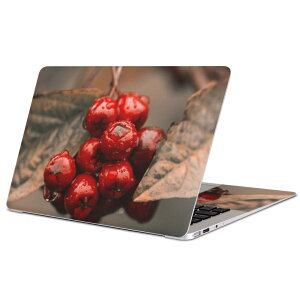 MacBook p XLV[ }bNubN 13C` ` 16C` MacBook Pro / MacBook Air eΉ m[gp\R Jo[ P[X tB XebJ[ ANZT[ ی 023715 ؂̎@ʐ^@A