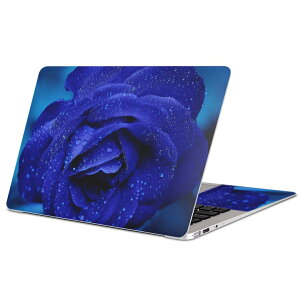 MacBook �p �X�L���V�[�� �}�b�N�u�b�N 13�C���` �` 16�C���` MacBook Pro / MacBook Air �e��Ή� �m�[�g�p�\�R�� �J�o�[ �P�[�X �t�B���� �X�e�b�J�[ �A�N�Z�T���[ �ی� 023736 �ԁ@�t�����[�@�o��