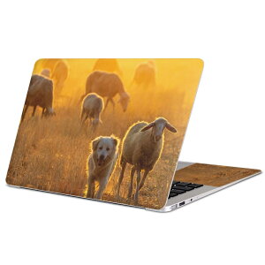 MacBook p XLV[ }bNubN 13C` ` 16C` MacBook Pro / MacBook Air eΉ m[gp\R Jo[ P[X tB XebJ[ ANZT[ ی 023788 r@@