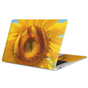 MacBook p XLV[ }bNubN 13C` ` 16C` MacBook Pro / MacBook Air eΉ m[gp\R Jo[ P[X tB XebJ[ ANZT[ ی 023849 ԁ@t[@Ђ܂