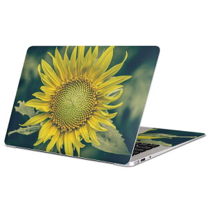 MacBook p XLV[ }bNubN 13C` ` 16C` MacBook Pro / MacBook Air eΉ m[gp\R Jo[ P[X tB XebJ[ ANZT[ ی 023850 ԁ@t[@Ђ܂