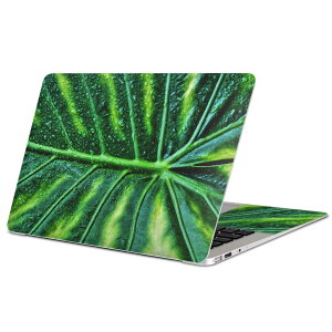 MacBook p XLV[ }bNubN 13C` ` 16C` MacBook Pro / MacBook Air eΉ m[gp\R Jo[ P[X tB XebJ[ ANZT[ ی 023931 Xe@t