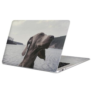 MacBook p XLV[ }bNubN 13C` ` 16C` MacBook Pro / MacBook Air eΉ m[gp\R Jo[ P[X tB XebJ[ ANZT[ ی 023964 @@ʐ^
