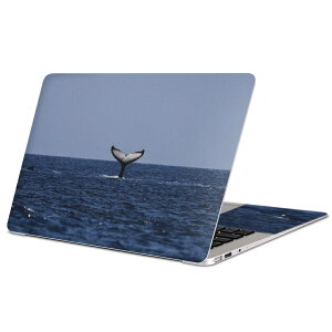 MacBook �p �X�L���V�[�� �}�b�N�u�b�N 13�C���` �` 16�C���` MacBook Pro / MacBook Air �e��Ή� �m�[�g�p�\�R�� �J�o�[ �P�[�X �t�B���� �X�e�b�J�[ �A�N�Z�T���[ �ی� 023965 ������@�ʐ^�@�C