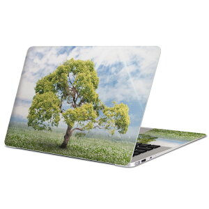 MacBook p XLV[ }bNubN 13C` ` 16C` MacBook Pro / MacBook Air eΉ m[gp\R Jo[ P[X tB XebJ[ ANZT[ ی 004647 ؁@@ʐ^