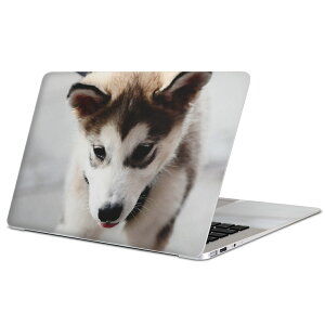 MacBook p XLV[ }bNubN 13C` ` 16C` MacBook Pro / MacBook Air eΉ m[gp\R Jo[ P[X tB XebJ[ ANZT[ ی 005831 Aj} ʐ^@@