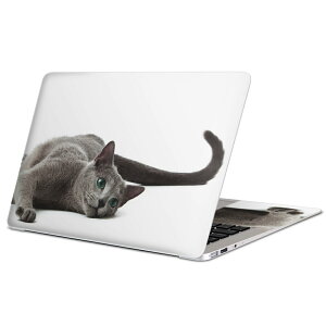 MacBook p XLV[ }bNubN 13C` ` 16C` MacBook Pro / MacBook Air eΉ m[gp\R Jo[ P[X tB XebJ[ ANZT[ ی 005907 Aj} ʐ^@@L
