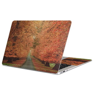 MacBook p XLV[ }bNubN 13C` ` 16C` MacBook Pro / MacBook Air eΉ m[gp\R Jo[ P[X tB XebJ[ ANZT[ ی 005919 ʐ^@H@ؓ