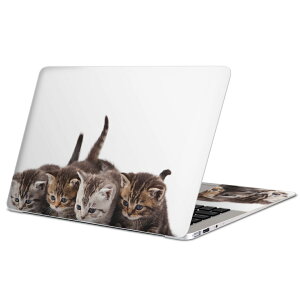 MacBook p XLV[ }bNubN 13C` ` 16C` MacBook Pro / MacBook Air eΉ m[gp\R Jo[ P[X tB XebJ[ ANZT[ ی 005928 Aj} ʐ^@@L
