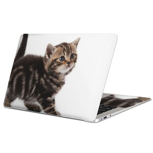 MacBook p XLV[ }bNubN 13C` ` 16C` MacBook Pro / MacBook Air eΉ m[gp\R Jo[ P[X tB XebJ[ ANZT[ ی 005930 Aj} ʐ^@@L