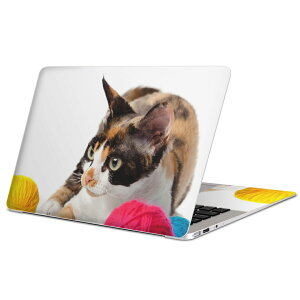 MacBook p XLV[ }bNubN 13C` ` 16C` MacBook Pro / MacBook Air eΉ m[gp\R Jo[ P[X tB XebJ[ ANZT[ ی 005939 Aj} ʐ^@@L