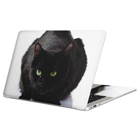 MacBook 用 スキンシール マックブック 13インチ 〜 16インチ MacBook Pro / MacBook Air 各種対応 ノートパソコン カバー ケース フィルム ステッカー アクセサリー 保護 005958 アニマル 写真　動物　ねこ　猫