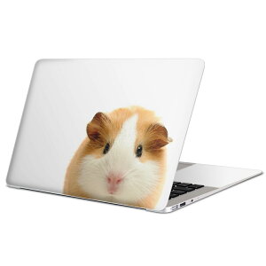 MacBook p XLV[ }bNubN 13C` ` 16C` MacBook Pro / MacBook Air eΉ m[gp\R Jo[ P[X tB XebJ[ ANZT[ ی 006036 Aj} ʐ^@@n