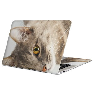 MacBook p XLV[ }bNubN 13C` ` 16C` MacBook Pro / MacBook Air eΉ m[gp\R Jo[ P[X tB XebJ[ ANZT[ ی 006477 Aj} ʐ^@@