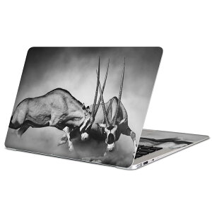 MacBook �p �X�L���V�[�� �}�b�N�u�b�N 13�C���` �` 16�C���` MacBook Pro / MacBook Air �e��Ή� �m�[�g�p�\�R�� �J�o�[ �P�[�X �t�B���� �X�e�b�J�[ �A�N�Z�T���[ �ی� 007518 �A�j�}�� �R�r�@�€�@��