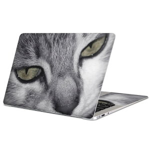 MacBook p XLV[ }bNubN 13C` ` 16C` MacBook Pro / MacBook Air eΉ m[gp\R Jo[ P[X tB XebJ[ ANZT[ ی 007896 ʐ^@L@˂@mN