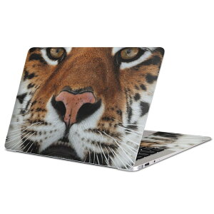 MacBook p XLV[ }bNubN 13C` ` 16C` MacBook Pro / MacBook Air eΉ m[gp\R Jo[ P[X tB XebJ[ ANZT[ ی 008090 Aj} ʐ^@g@