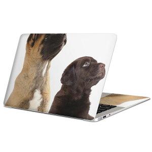 MacBook p XLV[ }bNubN 13C` ` 16C` MacBook Pro / MacBook Air eΉ m[gp\R Jo[ P[X tB XebJ[ ANZT[ ی 008364 ʐ^@@L