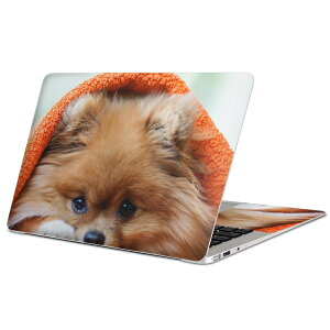 MacBook p XLV[ }bNubN 13C` ` 16C` MacBook Pro / MacBook Air eΉ m[gp\R Jo[ P[X tB XebJ[ ANZT[ ی 008644 Aj} @ʐ^@I