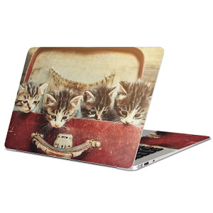 MacBook p XLV[ }bNubN 13C` ` 16C` MacBook Pro / MacBook Air eΉ m[gp\R Jo[ P[X tB XebJ[ ANZT[ ی 008717 ʐ^@L@lR@Jo