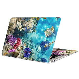 MacBook 用 スキンシール マックブック 13インチ 〜 16インチ MacBook Pro / MacBook Air 各種対応 ノートパソコン カバー ケース フィルム ステッカー アクセサリー 保護 008923 写真 魚 海 珊瑚