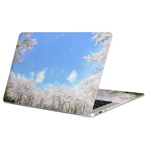 MacBook �p �X�L���V�[�� �}�b�N�u�b�N 13�C���` �` 16�C���` MacBook Pro / MacBook Air �e��Ή� �m�[�g�p�\�R�� �J�o�[ �P�[�X �t�B���� �X�e�b�J�[ �A�N�Z�T���[ �ی� 009459 �@���@��@�ʐ^