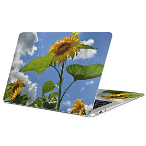 MacBook p XLV[ }bNubN 13C` ` 16C` MacBook Pro / MacBook Air eΉ m[gp\R Jo[ P[X tB XebJ[ ANZT[ ی 011366 ԁ@Ђ܂@ʐ^