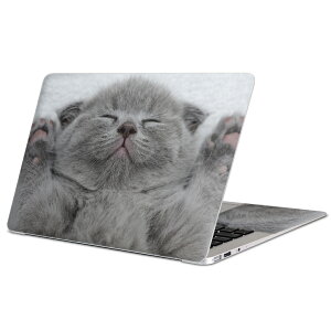 MacBook p XLV[ }bNubN 13C` ` 16C` MacBook Pro / MacBook Air eΉ m[gp\R Jo[ P[X tB XebJ[ ANZT[ ی 011682 L@@ʐ^