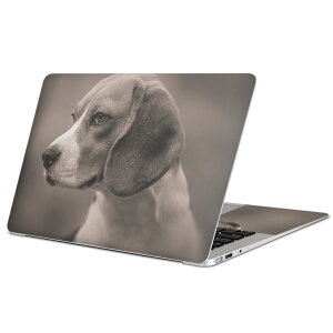 MacBook p XLV[ }bNubN 13C` ` 16C` MacBook Pro / MacBook Air eΉ m[gp\R Jo[ P[X tB XebJ[ ANZT[ ی 011976 @ʐ^@ZsA