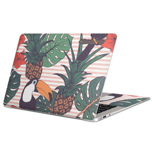 MacBook �p �X�L���V�[�� �}�b�N�u�b�N 13�C���` �` 16�C���` MacBook Pro / MacBook Air �e��Ή� �m�[�g�p�\�R�� �J�o�[ �P�[�X �t�B���� �X�e�b�J�[ �A�N�Z�T���[ �ی� 012079 ���@�p�C�i�b�v���@�n�C