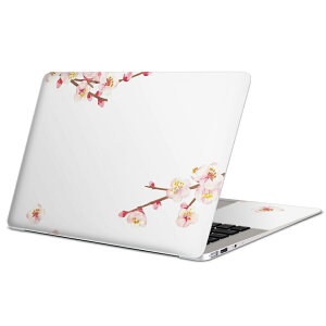 MacBook �p �X�L���V�[�� �}�b�N�u�b�N 13�C���` �` 16�C���` MacBook Pro / MacBook Air �e��Ή� �m�[�g�p�\�R�� �J�o�[ �P�[�X �t�B���� �X�e�b�J�[ �A�N�Z�T���[ �ی� 012884 ���@�ԁ@�t