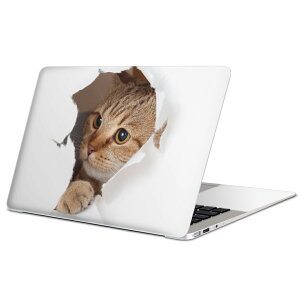 MacBook p XLV[ }bNubN 13C` ` 16C` MacBook Pro / MacBook Air eΉ m[gp\R Jo[ P[X tB XebJ[ ANZT[ ی 013566 L@ʐ^