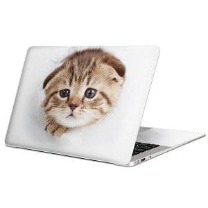 MacBook p XLV[ }bNubN 13C` ` 16C` MacBook Pro / MacBook Air eΉ m[gp\R Jo[ P[X tB XebJ[ ANZT[ ی 013568 L@ʐ^@qL