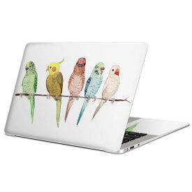 MacBook 用 スキンシール マックブック 13インチ 〜 16インチ MacBook Pro / MacBook Air 各種対応 ノートパソコン カバー ケース フィルム ステッカー アクセサリー 保護 014042 鳥　インコ　アニマル