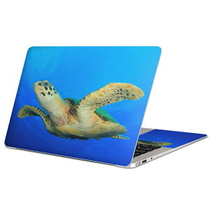 MacBook �p �X�L���V�[�� �}�b�N�u�b�N 13�C���` �` 16�C���` MacBook Pro / MacBook Air �e��Ή� �m�[�g�p�\�R�� �J�o�[ �P�[�X �t�B���� �X�e�b�J�[ �A�N�Z�T���[ �ی� 014050 �C�@�J���@������