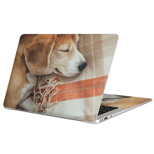 MacBook p XLV[ }bNubN 13C` ` 16C` MacBook Pro / MacBook Air eΉ m[gp\R Jo[ P[X tB XebJ[ ANZT[ ی 014838 @Q