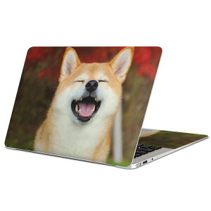 MacBook p XLV[ }bNubN 13C` ` 16C` MacBook Pro / MacBook Air eΉ m[gp\R Jo[ P[X tB XebJ[ ANZT[ ی 015611 @킢@Č