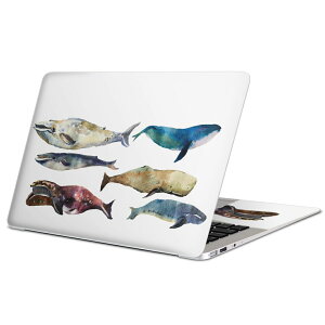 MacBook p XLV[ }bNubN 13C` ` 16C` MacBook Pro / MacBook Air eΉ m[gp\R Jo[ P[X tB XebJ[ ANZT[ ی 015833 @C@@V`