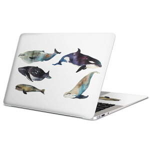 MacBook p XLV[ }bNubN 13C` ` 16C` MacBook Pro / MacBook Air eΉ m[gp\R Jo[ P[X tB XebJ[ ANZT[ ی 015835 @C@@V`