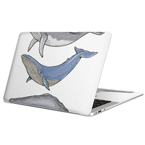 MacBook �p �X�L���V�[�� �}�b�N�u�b�N 13�C���` �` 16�C���` MacBook Pro / MacBook Air �e��Ή� �m�[�g�p�\�R�� �J�o�[ �P�[�X �t�B���� �X�e�b�J�[ �A�N�Z�T���[ �ی� 015851 ���@������@�C