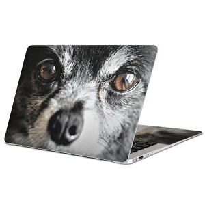 MacBook p XLV[ }bNubN 13C` ` 16C` MacBook Pro / MacBook Air eΉ m[gp\R Jo[ P[X tB XebJ[ ANZT[ ی 018313  ʐ^